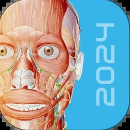 3dbody解剖软件6.0海外Windows版