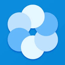 bluecoins app
