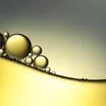 bubble translate中文版