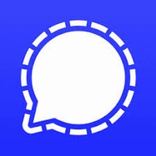 signal网页版