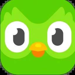 duolingo english test国内国际资源封面