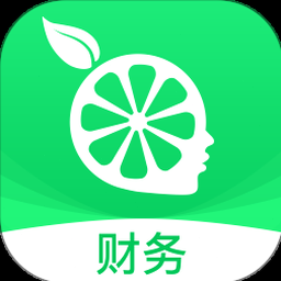 tally 意思客户端