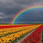 valder fields lyrics