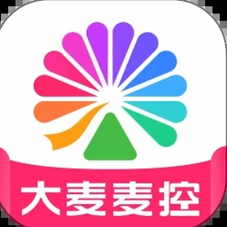 麦登橄榄球中文补丁