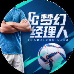 梦幻足球经理电脑版