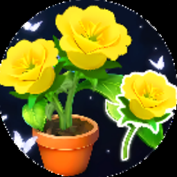 斗南鲜花邮局