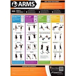 arms音标