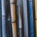 bamboo studio