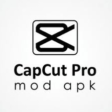 capcut.cn汉化便携版