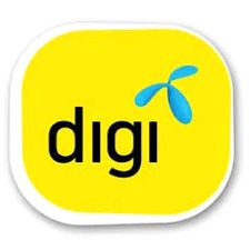 digilink海外