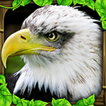 eagle2fa驱动