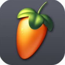 flm汉化版下载资源封面