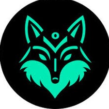 fox 29