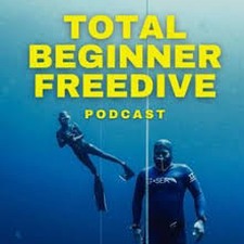 freedive fins去广告版