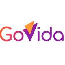govida巧克力什么档次