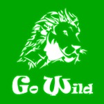 gowild summer pass