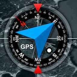 gps info driver