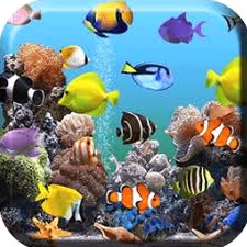 水族馆动态壁纸汉化版
