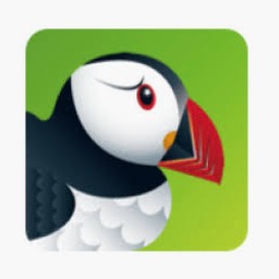 puffin browser pro