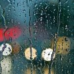 rains bag