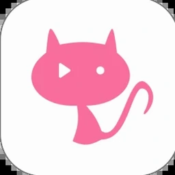 resource.irf下载安装资源封面