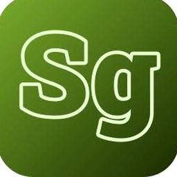 sg软件下载正式版PC版