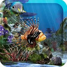 水族馆动态壁纸汉化版安装