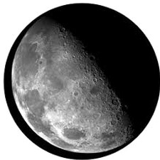 moonshot ai