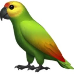 parrot for sale专业