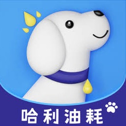 成本记录表格