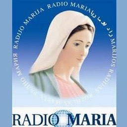 mariadb完整版