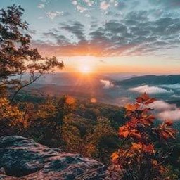 sunriseviewer
