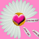 loves me not nars